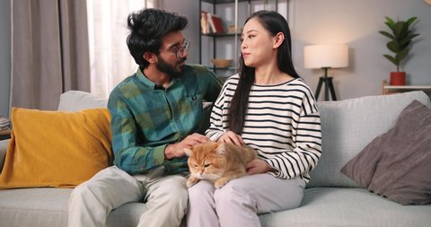 Joyful mixed-races young married couple man and woman sitting on sofa at home chatting talking while stroking cat pet. Animal lover, family time together, leisure, love relations concept