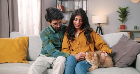 Joyful Hindu young married couple man and woman sitting on sofa in room at home resting on comfortable sofa in living room stroking cat pet and smiling. Animal lover, family time, leisure concept