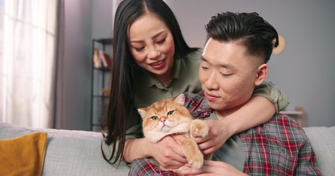 Lovely Asian young couple wife and husband holding cute cat while resting at home spending time together, pet lover, animal fluffy love, owner holding cat in arms, playing with cat, close up concept