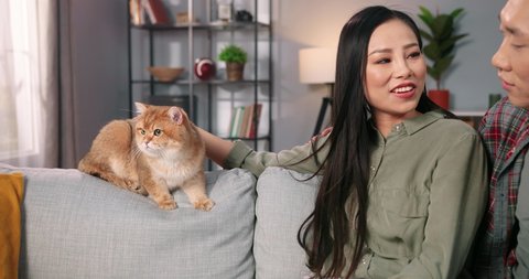 Close up of joyful young Asian married couple sitting on sofa in room at home and chatting while woman caring cute cat. Animal pet lover, family member, boyfriend and girlfriend, pet adoption concept