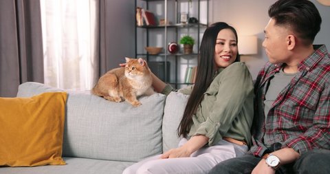 Portrait of happy cheerful young Asian couple wife and husband sitting on couch in room at home with cute cat. Caring owners loving animal pet, family member, pet adoption concept