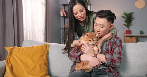 Portrait of caring Asian married couple man and woman holding cute cat while resting at home spending time together, pet lover, animal fluffy love, owner holding cat in arms, family member