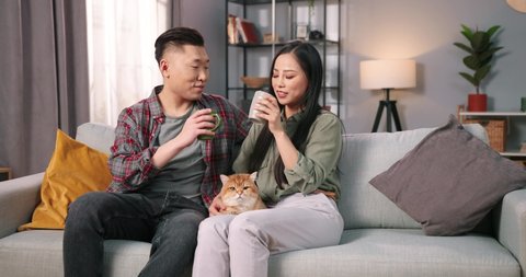 Asian young lovely happy couple wife and husband sitting on sofa relaxing, speaking, drinking hot coffee or tea and holding cute fluffy cat animal. Family time, caring pet lover, leisure concept
