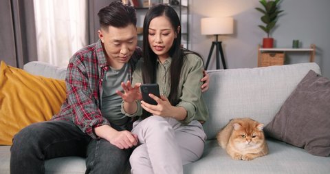Cheerful young smiling Asian married couple man and woman sit on couch in living room with cute cat typing, surfing internet on smartphone and chatting choosing something, pet cat concept