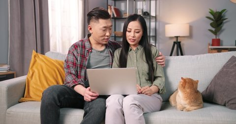 Joyful Asian young couple man and woman in love sitting on sofa in modern room browsing online on laptop computer searching internet and speaking in positive mood, discussing purchase for cute cat pet