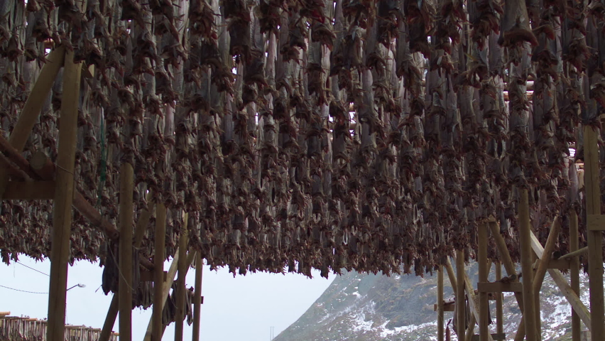 TRACKING TILT DOWN REVEAL from cod drying to a fishing boat in Lofoten, Norway