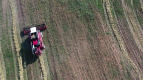 Harvesting with combine harvester in an agricultural field 4k movie. Agricultural business concept