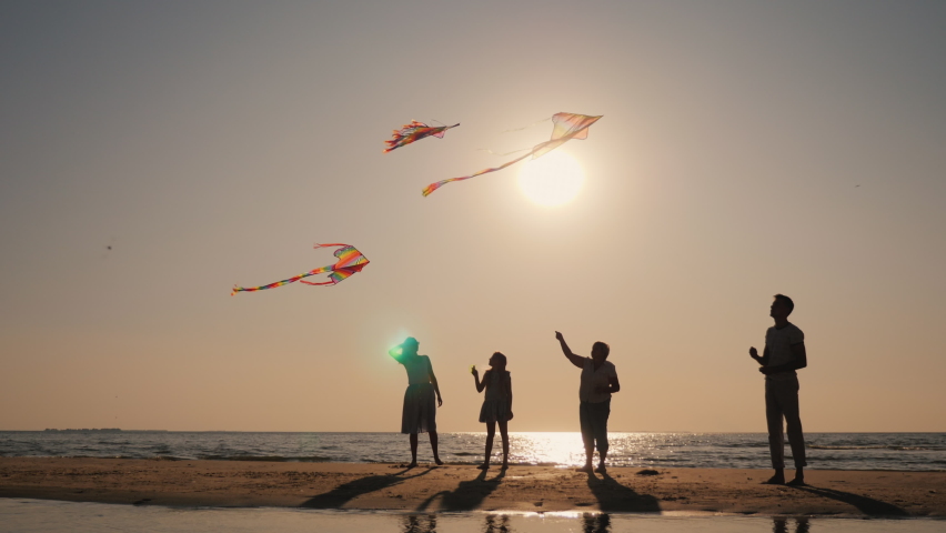 Friendly multi-generational family spends time together, playing with kites Royalty-Free Stock Footage #1067984690