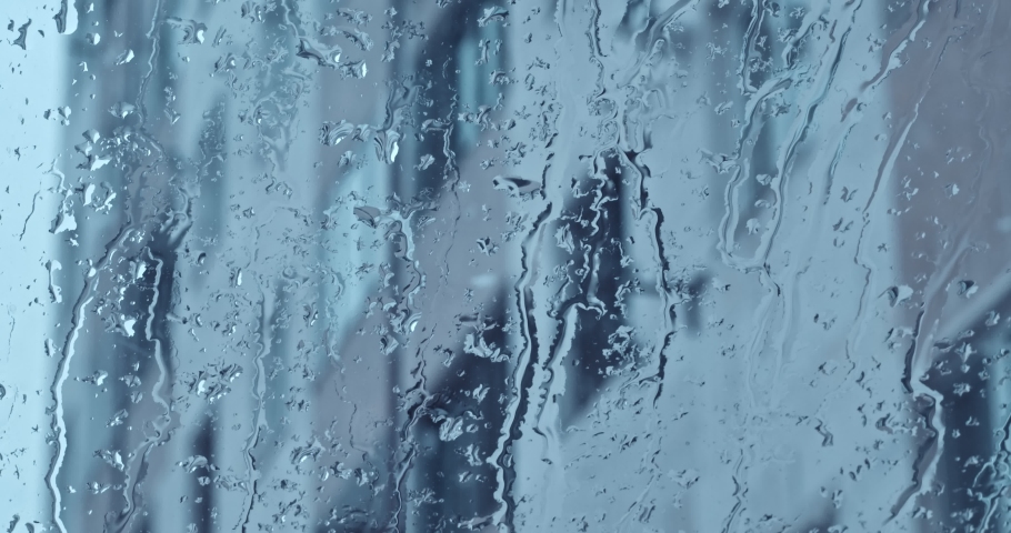 Shutterstock video thumbnail