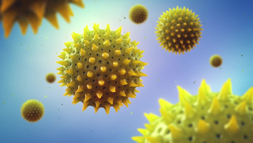 3d render animation of microscopic pollen grains. Pollen allergy is also known as hay fever or allergic rhinitis. Royalty-Free Stock Footage #1068002006
