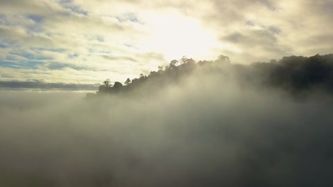 Tropical rainforest rising above humid jungle misty clouds, aerial view