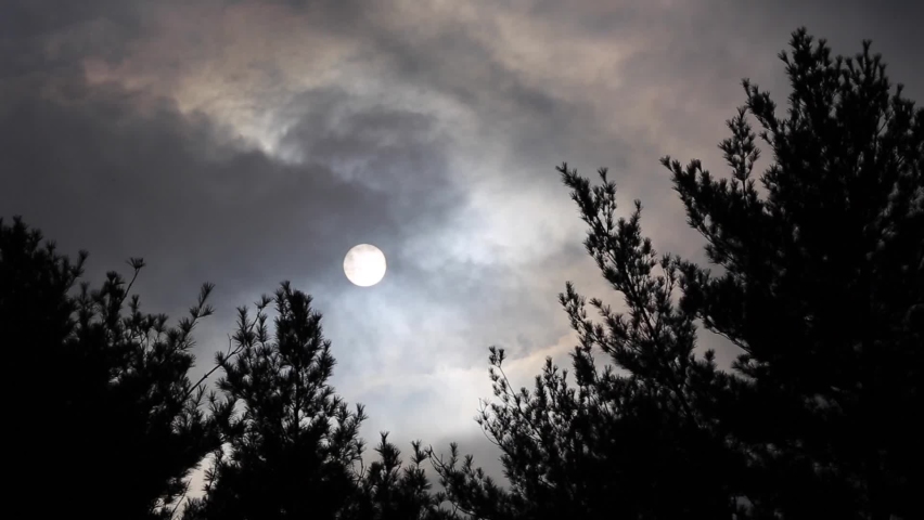 Misty clouds pass over a bold moon, with a silhouette of a great oak tree in the foreground and a rolling hill going up to the side.
 Royalty-Free Stock Footage #1068024344