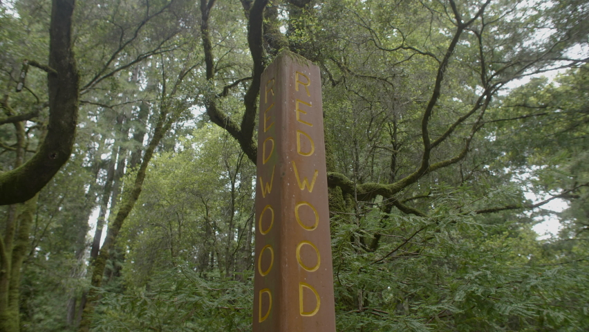 Red Wood Trail Sign at Big Basin State Park