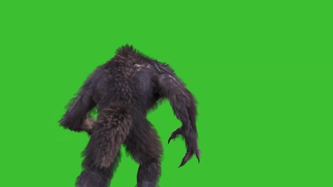 Werewolf Real Fur Green Screen Runs Back 3D Rendering Animation 4K Horror