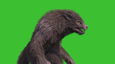 Werewolf Real Fur Green Screen Idle 3D Rendering Animation 4K Horror
