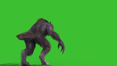 Werewolf Real Fur Green Screen Walks Back 3D Rendering Animation 4K Horror