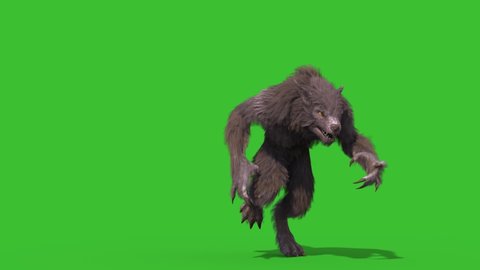 Werewolf Real Fur Green Screen Runs Front 3D Rendering Animation 4K Horror