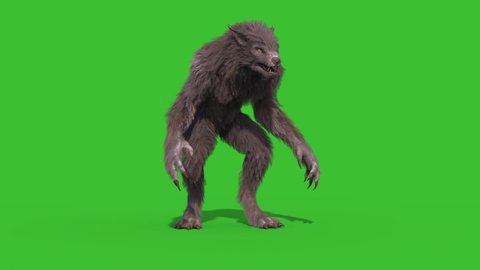 Werewolf Real Fur Green Screen Shoot Front 3D Rendering Animation 4K Horror