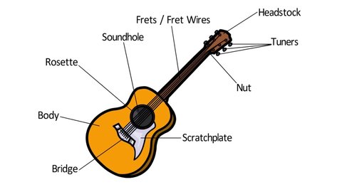 parts of a guitar educational video