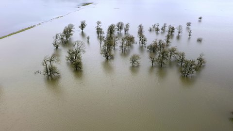 Drone circles around trees in flooded farmland from heavy rainfall. Global warming effect 