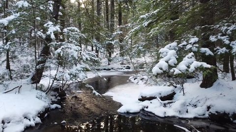 Close up of a winter landscape a stream of flowing water with snow in the forest 4k nature shots