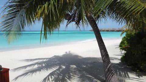 tranquility private island palm tree lush vegetation white sand sea ocean water villas