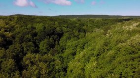 Amazing aerial forest landscape in natural light with green trees in spring season 