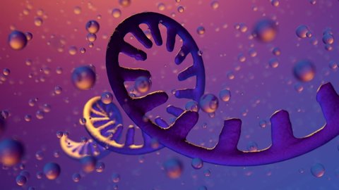 Single-stranded RNA genome. Coronavirus SARS-CoV-2. 3D animation