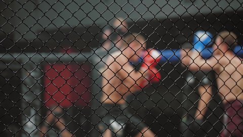MMA fighters spar in boxing cage, blurred. Athletes in octagonal ring for fights, mixed martial arts competition tournament. Extreme sport.