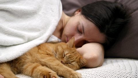 Happy young beautiful woman lies with a ginger cat on the couch. The red cat hugs the girl. Beautiful couple of cat and girl. Pets