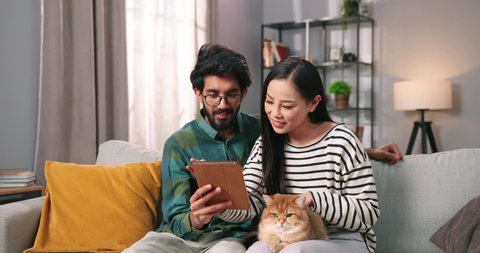Portrait of joyful mixed-race young man and woman couple sitting on comfortable sofa in cozy room holding cat pet browsing on tablet choosing something online, leisure, social network concept