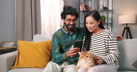 Portrait of multi-ethnic young man and woman couple resting on comfortable sofa in apartment with cute cat pet typing on cellphone browsing online choosing something on e-commerce, family concept