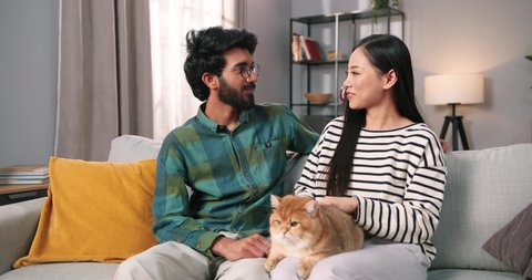 Portrait of happy positive mixed-races young married couple wife and husband sitting on sofa at home stroking cat pet looking at camera and smiling. Animal lover, family time together, family concept