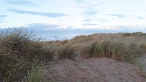 Dunes at sunset - North Sea