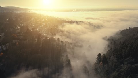 Glorious aerial scenery of fog and gold sunrays beautifully moving and creating a magical mood 