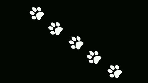 Hand Drawn Doodle Animal Footprint Vector Stock Vector (Royalty Free ...