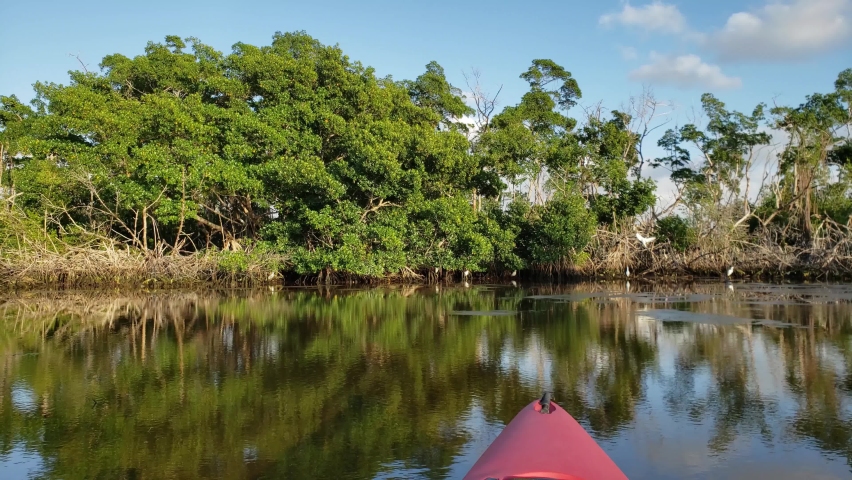 Florida Bay at Everglades National Park, Florida image - Free stock ...