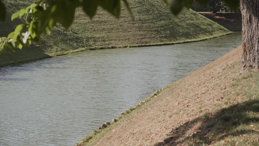 View of moat, channel with water between two grassy banks. Green tree branches with leaves sway in the wind.