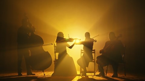Silhouettes of musicians playing the violin, cello, double bass on the big stage of the concert hall in the smoke on a dark background.