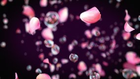 Rose petals exploding with water drops in slow motion 4K - Powered by Shutterstock - Get 15% off with code: PIKWIZARD15