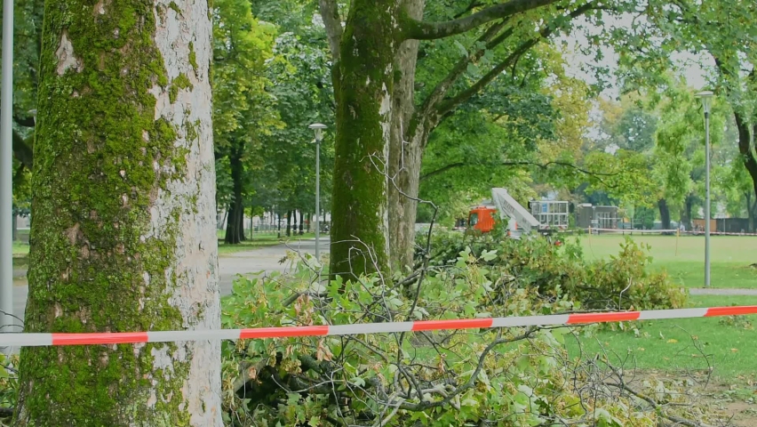 Warning tape in the park because of a storm damage. Fallen tree after a strong summer storm and gusts of wind in Graz, Austria. Selective focus