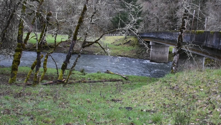 A creek flowing under bridge 