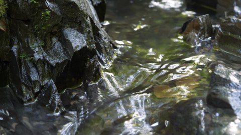 Tiny brook close-up, water flows between stones
