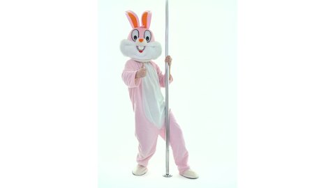 Easter bunny or rabbit or hare is dancing and stripping spinning rotates on pole. Stripper or strip dancer dances striptease on pole isolated on white