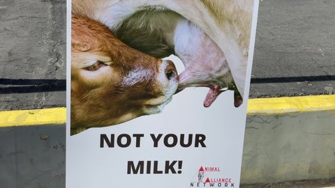 Animal-rights activists protest outside Broguiere's Dairy Farm for advocating consumers to transition to plant-based milk alternatives, in Montebello, Calif., on Sunday, Feb. 28, 2021. 