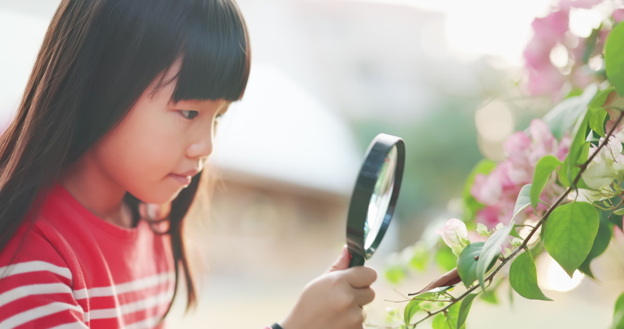 Asian girl hold magnifer and observe leaf carefully Royalty-Free Stock Footage #1068212768