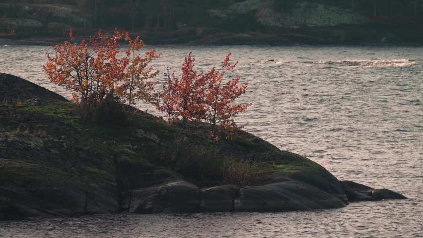 Stone cape, sheepback rock with small autumn trees and the heat of the wave in the sea bay