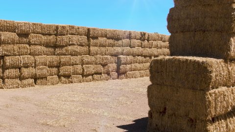 Haystacks wall outdoor in an agricultural field on a livestock farm. Hay bales. Harvesting, farming, and ranching concepts. High-quality 4k footage