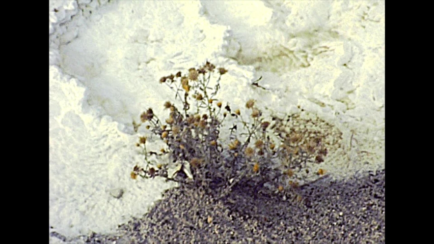 1970s travertine terraces rock formations made of crystallized calcium carbonate in Mammoth Hot Springs, Yellowstone National Park in Wyoming and Montana. United States of America archival in 1977.