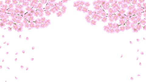 animation falling petals sakura flowers waving Stock Footage Video (100 ...